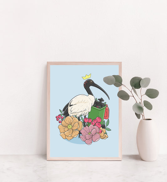 Bin Chicken / Australian Ibis Print