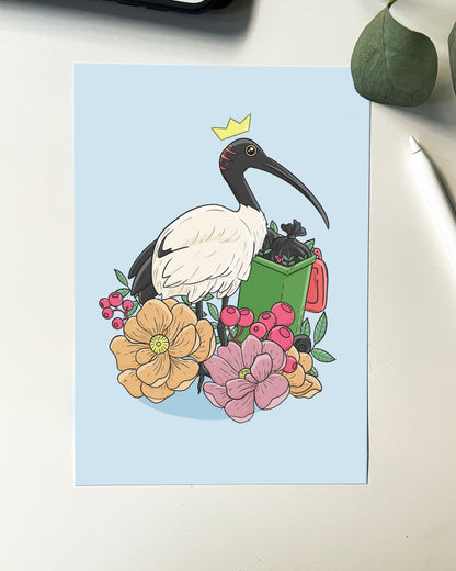 Bin Chicken / Australian Ibis Print