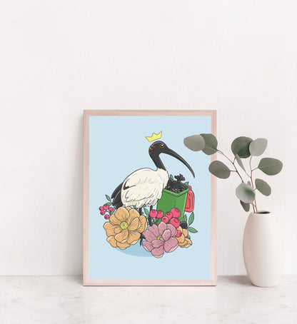 Bin Chicken / Australian Ibis Print