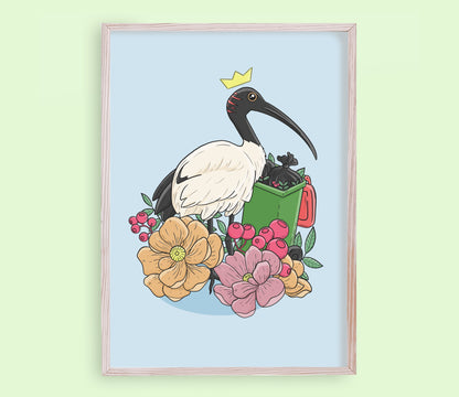 Bin Chicken / Australian Ibis Print